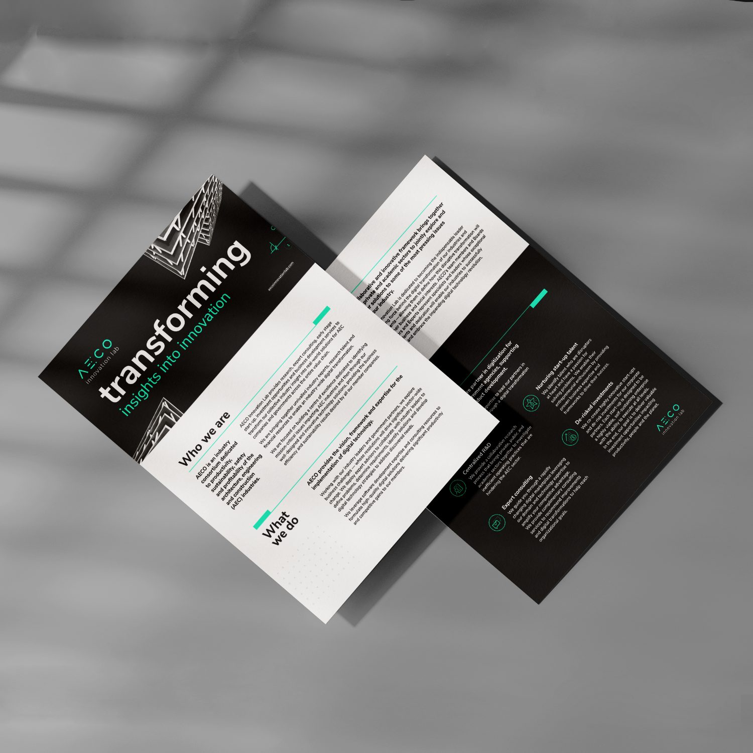 AECO two-page overview